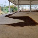 사남족구장 이미지