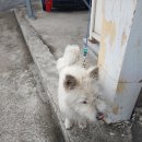 칠십리교 이미지