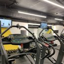 마커스짐 이미지