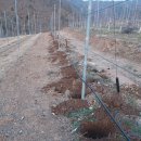 재식농장 이미지