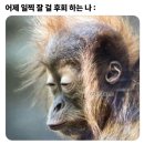 나 거지다