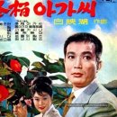 동백아가씨 이미지
