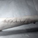 속초삼성동물병원 이미지