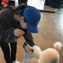 페로페라 동물병원 | [애견카페] 도톨맘 일산 페로페라 애견카페에 놀러가다!