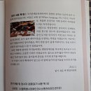 스튜디오홀호리(주) 이미지
