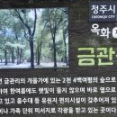 박준덕부부효열각 | 금관숲-박대소(청주)
