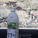 씨유광양백운점 | 술쥐의막걸리뷰 :: 광양매실로 만든 백운주가 매실막걸리 후기