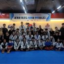 한솔세계로태권도