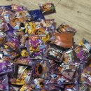 다온유치원 | 2025년 10월 할로윈캠핑 (캠프다온)