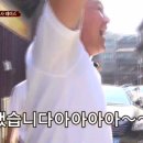 토르스테이 이미지