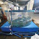 영종순환로 이미지