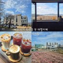 대구 시지 대형카페 캐빈커피 사월 경산 복사꽃 뷰 카페 내 돈 내산 리뷰