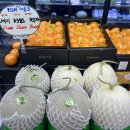 총각네송도