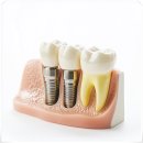 지금편한치과의원 이미지