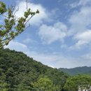 소초농협 하나로마트 이미지