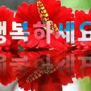 자연그대로 이미지