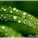 조은정비 이미지