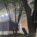 종묘주차장 옆 | 종로3가 주차후기 익선동 인사동 종묘 공영주차장 리뷰