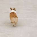담양세솔둥지