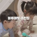 블루래빗 소전집 3대장과 함께한 슬기로운 육아일상