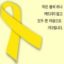 아시아메디칼 이미지