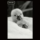 형제카센타 - 완주군 고산천로 229 | 형제카센타