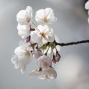 왕숙천고향의강 이미지