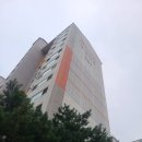 우남두정마을아파트(1차) 네이버블로그