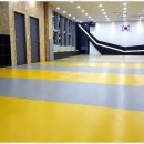 한양대청사태권도 이미지