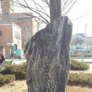 중부동공원 이미지