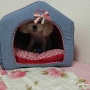 쭌이하우스 이미지