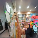 365키즈소아청소년과의원 이미지