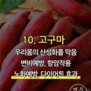 강남채소