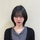 티엔피 이미지