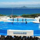 오키나와로 여행을 떠나요 이미지