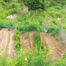 선애황토방 이미지