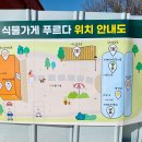 푸르다 티스토리