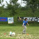 몽개구름 애견유치원 | [260829] 몽개구름유치원 - 운동회