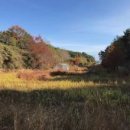 현남면사무소 이미지