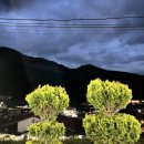 노고지리펜션 이미지