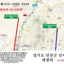 대광리 Daum카페