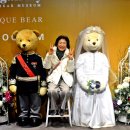 군산테디베어뮤지엄 이미지