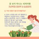 꽃 보러 떠나는 세계여행 이미지