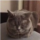 다정한의원 이미지