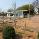 월야축사 이미지