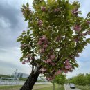 미사경정공원 이미지