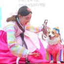 서리풀동물병원 이미지