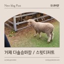 다솔승마장