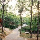 영인면 아산온천로 이미지