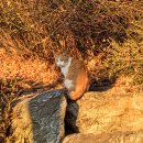 낙산경로당 이미지